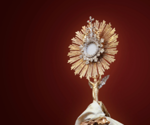 Design sem nome (9)